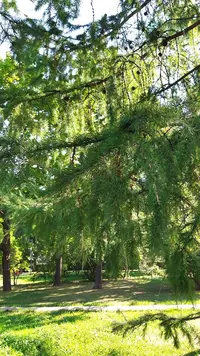 IMG_20220814_091955.webp