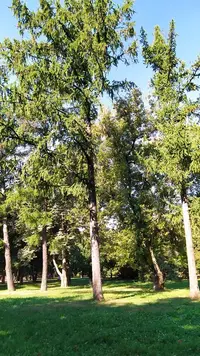 IMG_20220814_092057.webp