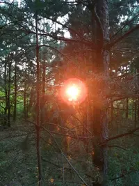 IMG_20220814_192950-min.webp