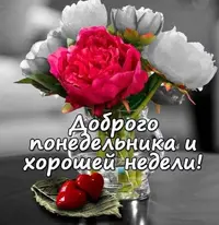 9D30E1B0-05FE-4DAA-8552-BC2AE81D9723.webp