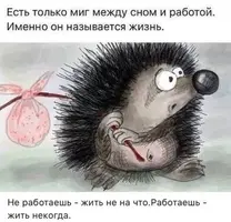 a18811736757498727bba9ca5f89af50.webp
