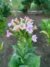 unnamed.webp