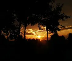 IMG_20220815_201155.webp