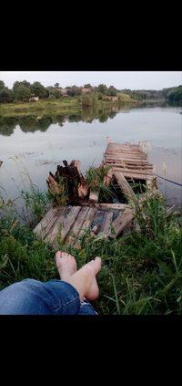 Screenshot_2022-08-15-22-28-25-795_com.miui.gallery.webp