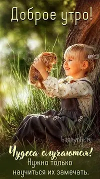 e0a6108eca7fab14e9f9f087467349b7.webp