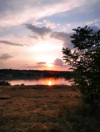 IMG_20220816_141121.webp