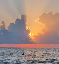Screenshot_20220816-204741_Gallery.webp