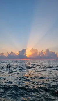Screenshot_20220816-193308_Gallery.webp