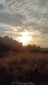 IMG20220815190708.webp