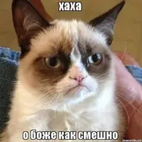 смешно.webp