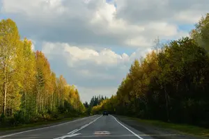 VXbswfEyRTU.webp
