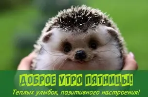 02353932-1583-4EBE-B86C-04D8703CDA9C.webp