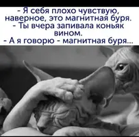 IMG_20220819_114416.webp