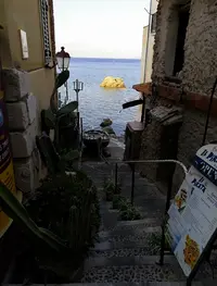 Screenshot_20220819-170131_Gallery.webp