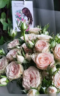 180446_Gallery.webp