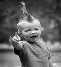 3a6c358f64b6f3a0158e4950475dc17d.webp