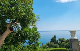 Screenshot_20220820-201724_Gallery.webp