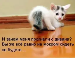 3c20515bc9f8eb782f9c9d97ed1da1aa.webp