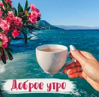 Screenshot_20220821-074345_Yandex.webp