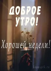 875cb1f08a47f817e341ca6db96c7924.webp