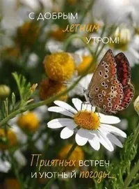 Screenshot_20220822-085546_Telegram.webp
