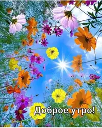 IMG-20220823-WA0000.webp