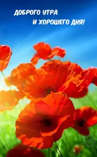 57516D80-C1B7-4CA7-AD04-A5A30AF49AA1.webp