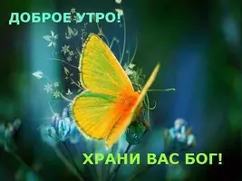 IMG-20220823-WA0004.webp