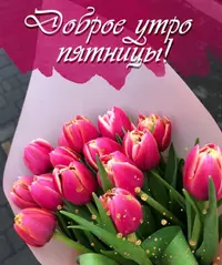 44F04FF1-0459-4F57-945E-45E6A0FDA43C.webp