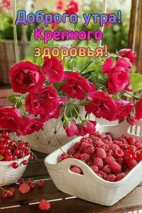 IMG-20220826-WA0003.webp