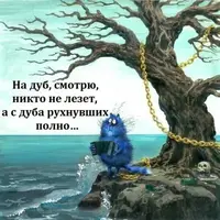 11.webp