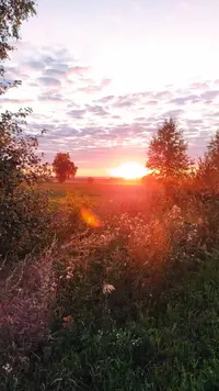 IMG-20220819-WA0007.webp