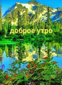 IMG-20220827-WA0006.webp