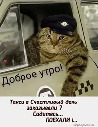 7df10433fc129d111a466b770910db81.webp
