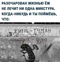 975d1afa8e3318cf49c936e119c02fa6.webp