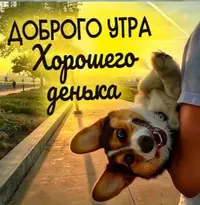 Screenshot_20220829-165239_Telegram.webp