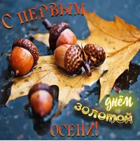 51728F5F-25E5-44EF-BCE1-F6F289A500EA.webp