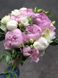 1760F2E1-D2DF-4685-B4B5-2BCEB663F32F.webp