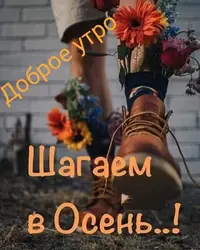 IMG-20220902-WA0001.webp