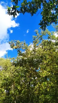 IMG_20220903_122703.webp