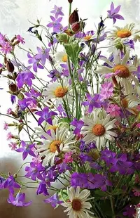 3A56E7BC-1096-4121-B10D-CBAE374DBF49.webp