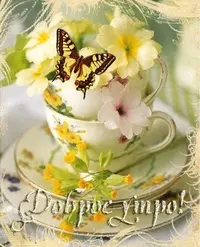 6385FE13-B862-415D-847C-A41EF1E9C1F7.webp