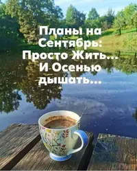 IMG-20220905-WA0008.webp