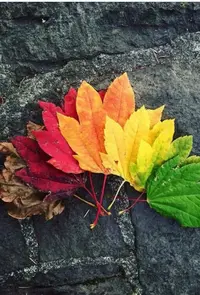 4ABE973D-8FF3-4E78-A105-580C60B4F1A8.webp