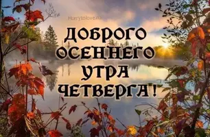 IMG-20220908-WA0004.webp