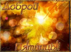 IMG-20220909-WA0008.webp