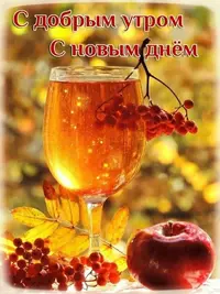 e4e3483.webp