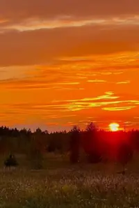 Screenshot_20220909-222932_Gallery.webp