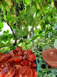 41539_Gallery.webp