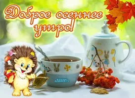 fa85cbc09f460775dcf3314a62e6bea6.webp